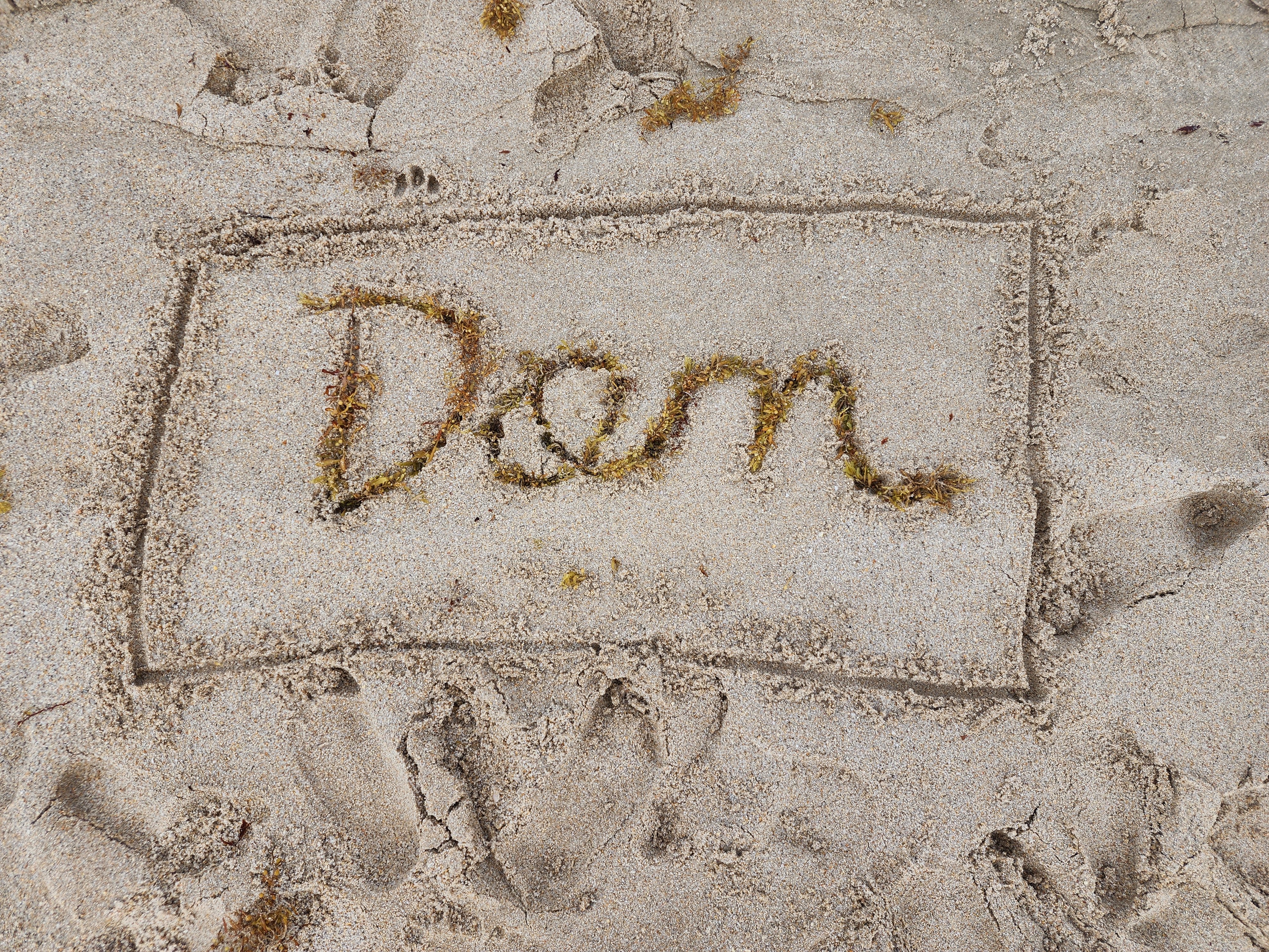don