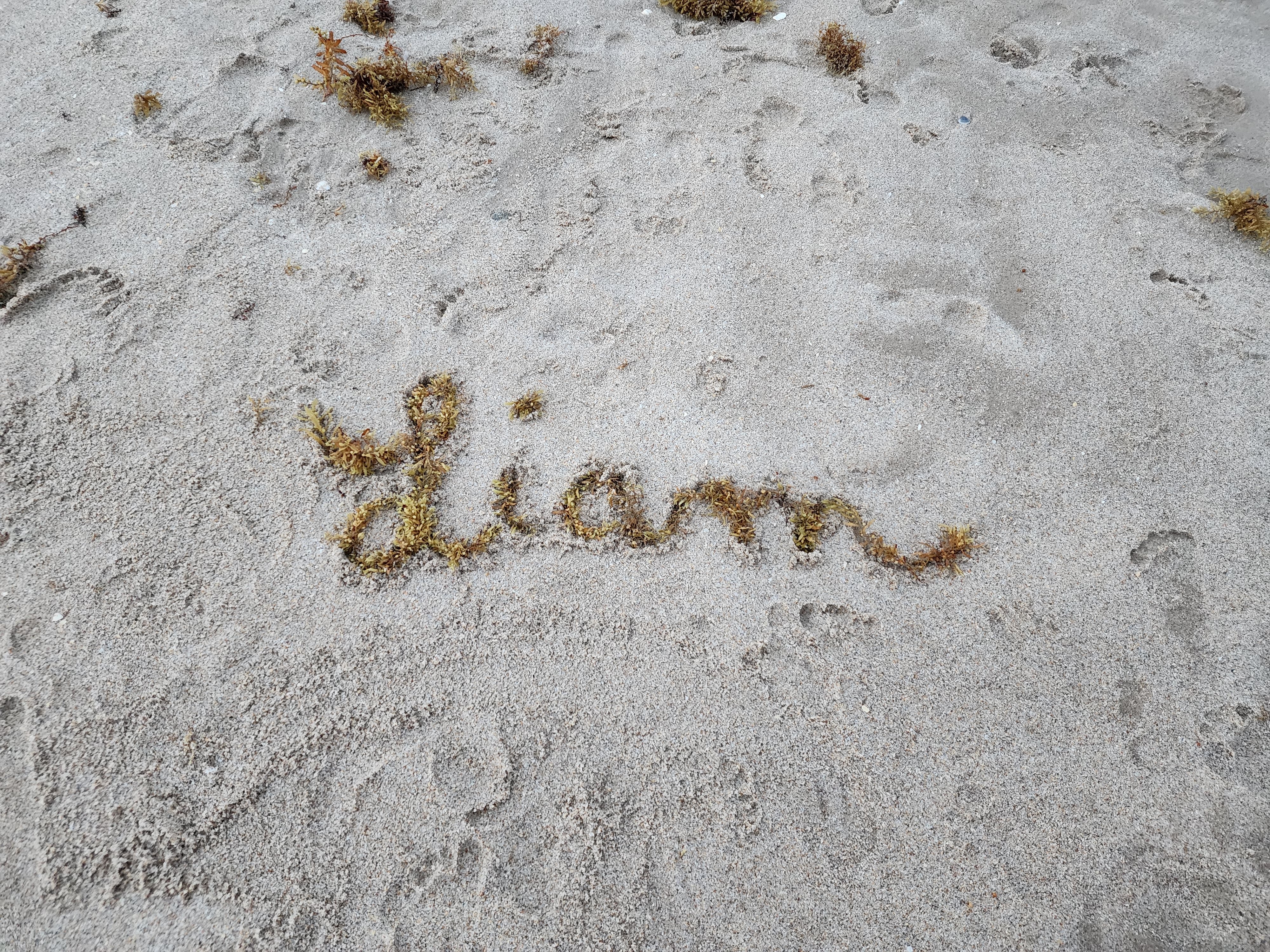 liam