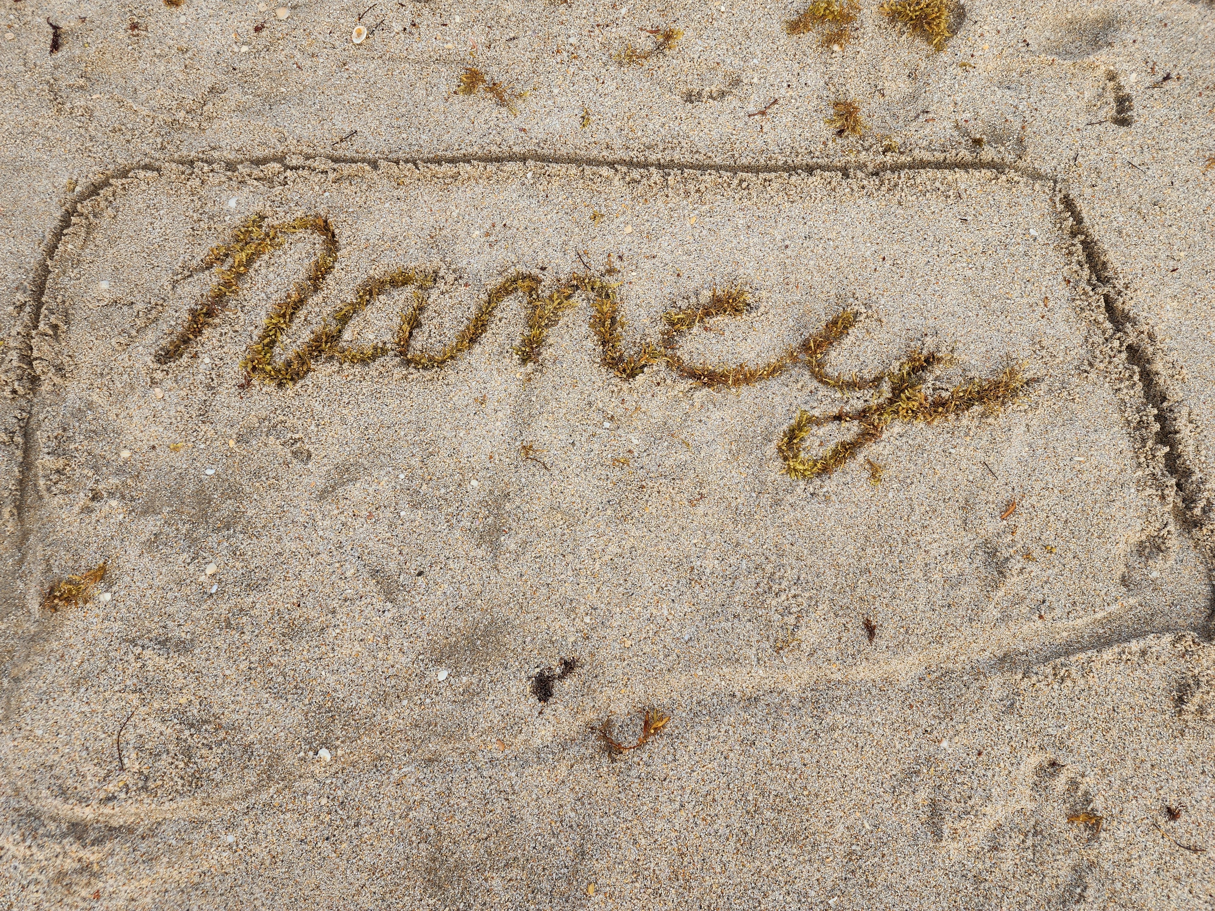 nancy