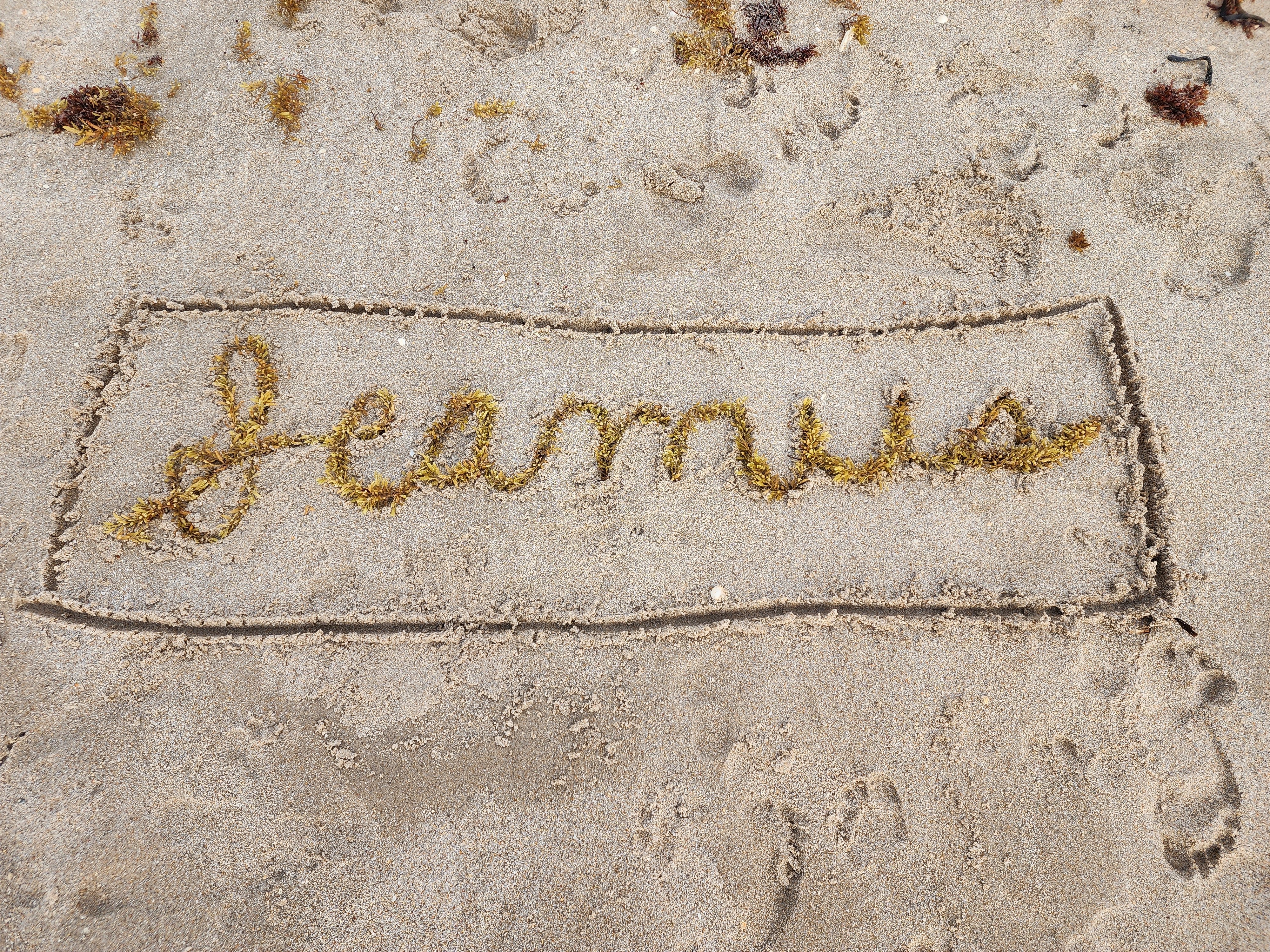 seamus
